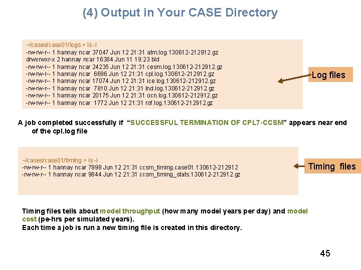 (4) Output in Your CASE Directory ~/cases/case 01/logs > ls -l -rw-rw-r-- 1 hannay