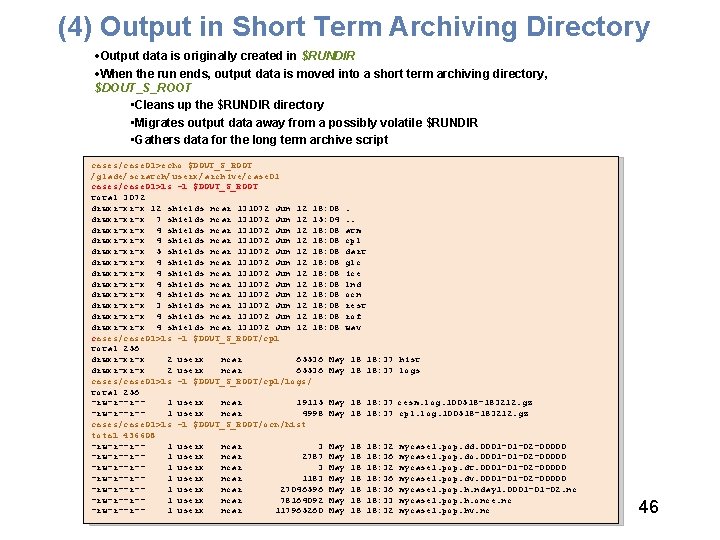 (4) Output in Short Term Archiving Directory • Output data is originally created in