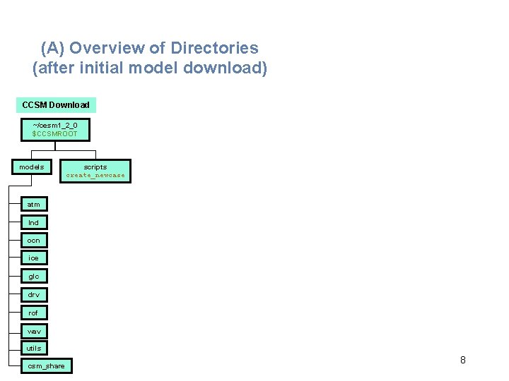 (A) Overview of Directories (after initial model download) CCSM Download ~/cesm 1_2_0 $CCSMROOT models