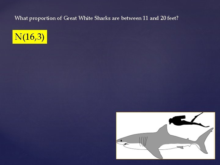 What proportion of Great White Sharks are between 11 and 20 feet? N(16, 3)