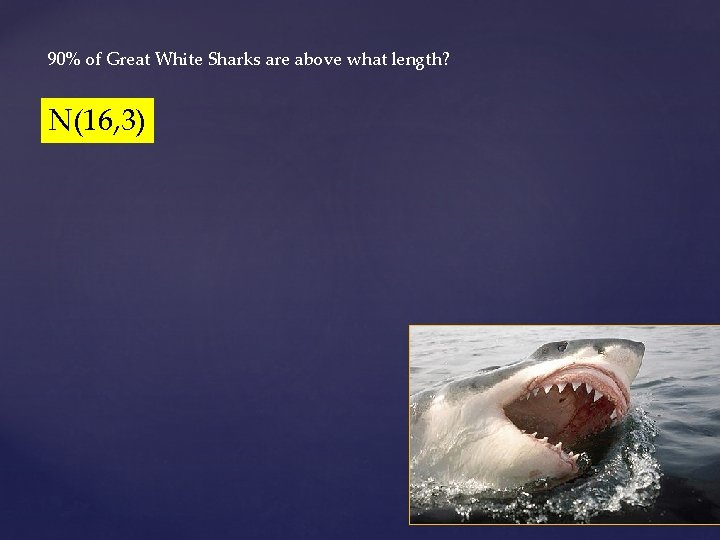 90% of Great White Sharks are above what length? N(16, 3) 
