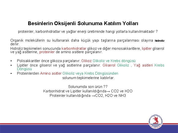 Besinlerin Oksijenli Solunuma Katılım Yolları proteinler, karbonhidratlar ve yağlar enerji üretiminde hangi yollarla kullanılmaktadır