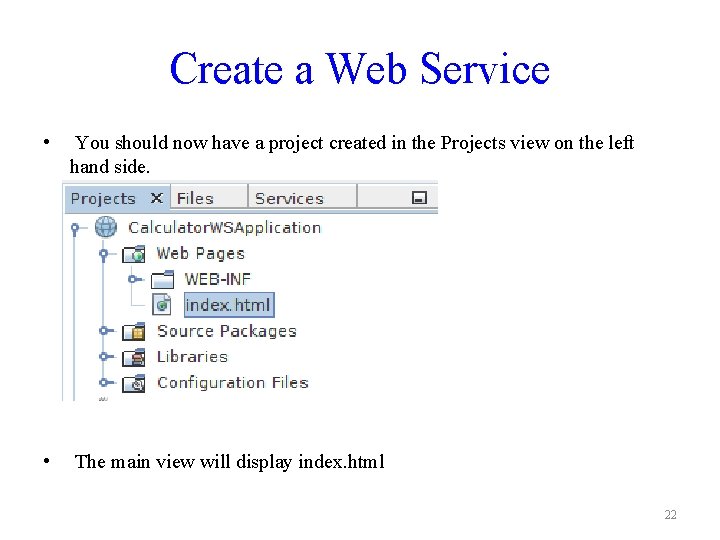 Create a Web Service • You should now have a project created in the