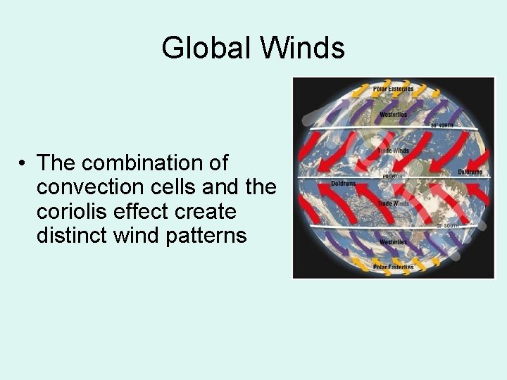 Global Winds • The combination of convection cells and the coriolis effect create distinct