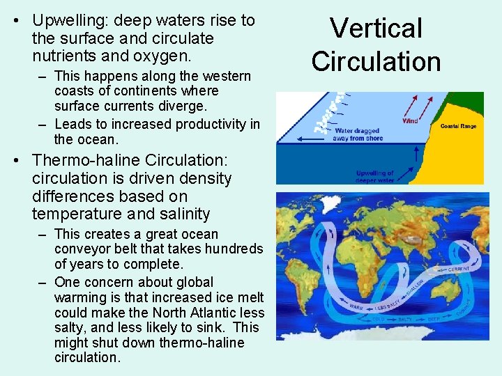  • Upwelling: deep waters rise to the surface and circulate nutrients and oxygen.