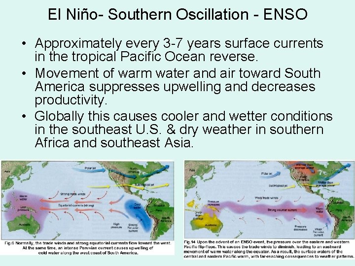 El Niño- Southern Oscillation - ENSO • Approximately every 3 -7 years surface currents