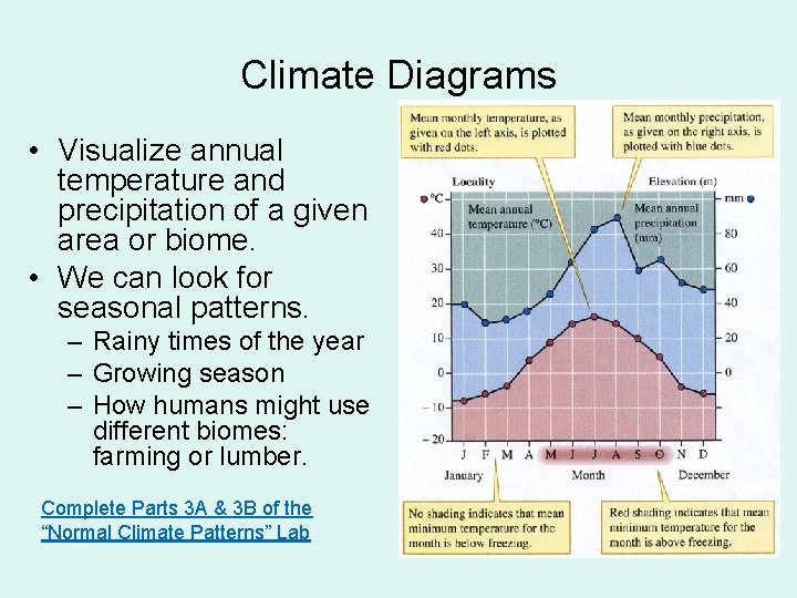 Climate Diagrams • Visualize annual temperature and precipitation of a given area or biome.