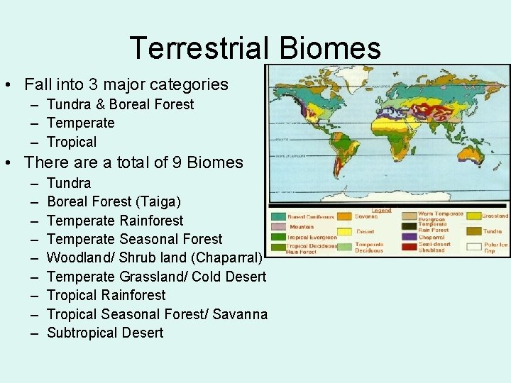 Terrestrial Biomes • Fall into 3 major categories – Tundra & Boreal Forest –