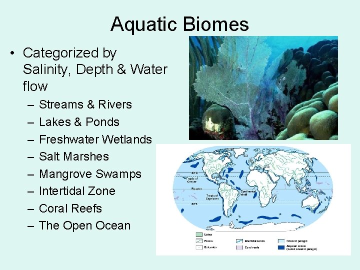 Aquatic Biomes • Categorized by Salinity, Depth & Water flow – – – –