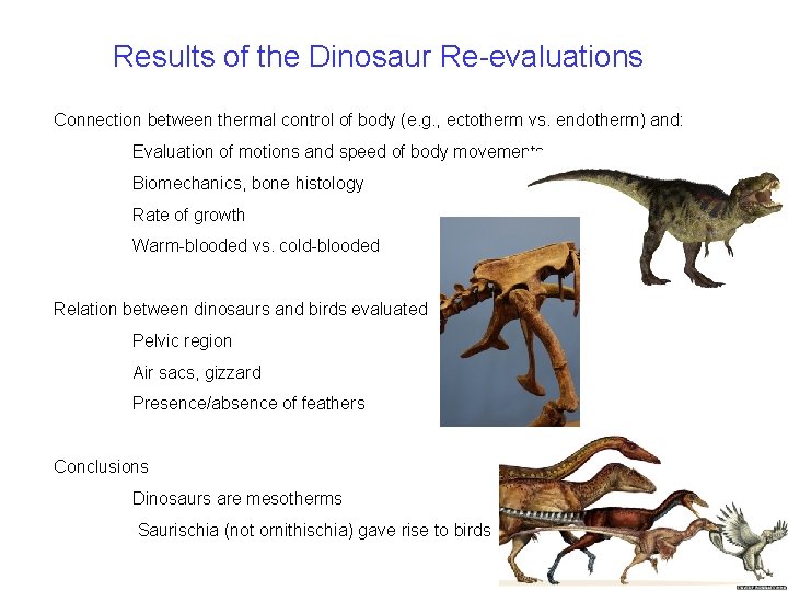 Results of the Dinosaur Re-evaluations Connection between thermal control of body (e. g. , Results of the Dinosaur Re-evaluations Connection between thermal control of body (e. g. ,