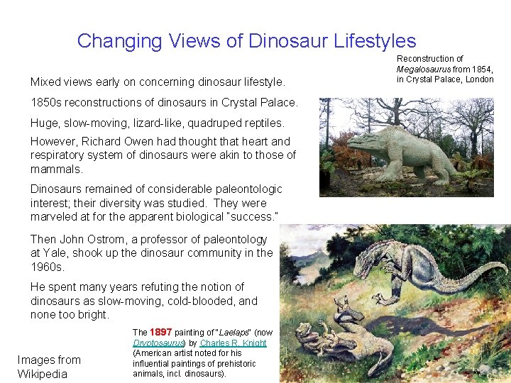 Changing Views of Dinosaur Lifestyles Mixed views early on concerning dinosaur lifestyle. 1850 s Changing Views of Dinosaur Lifestyles Mixed views early on concerning dinosaur lifestyle. 1850 s
