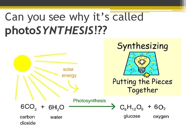 Can you see why it’s called photo. SYNTHESIS!? ? 