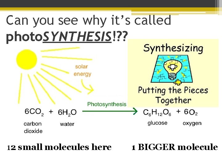 Can you see why it’s called photo. SYNTHESIS!? ? 12 small molecules here 1