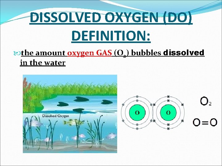 DISSOLVED OXYGEN (DO) DEFINITION: the amount oxygen GAS (O 2) bubbles dissolved in the