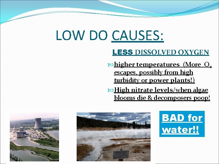 LOW DO CAUSES: LESS DISSOLVED OXYGEN higher temperatures (More O 2 escapes, possibly from