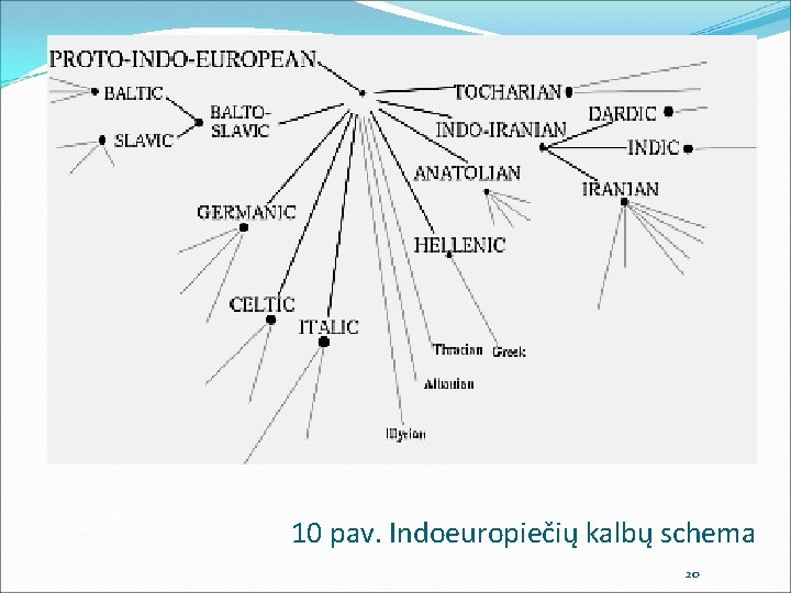10 pav. Indoeuropiečių kalbų schema 20 