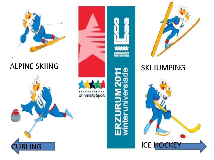 ALPINE SKIING SKI JUMPING CURLING ICE HOCKEY 