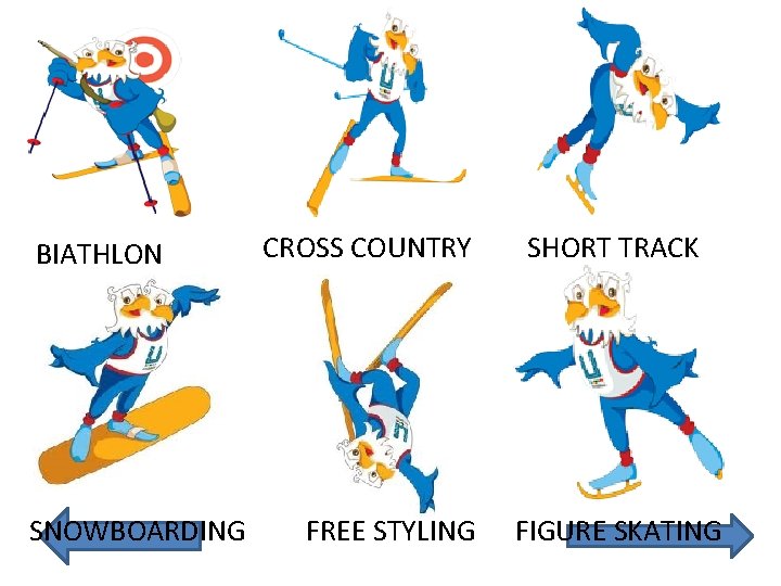 BIATHLON SNOWBOARDING CROSS COUNTRY FREE STYLING SHORT TRACK FIGURE SKATING 