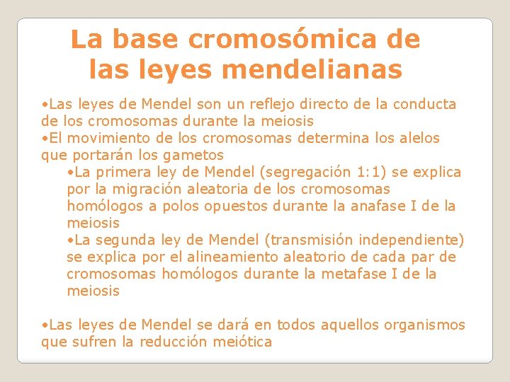 La base cromosómica de las leyes mendelianas • Las leyes de Mendel son un
