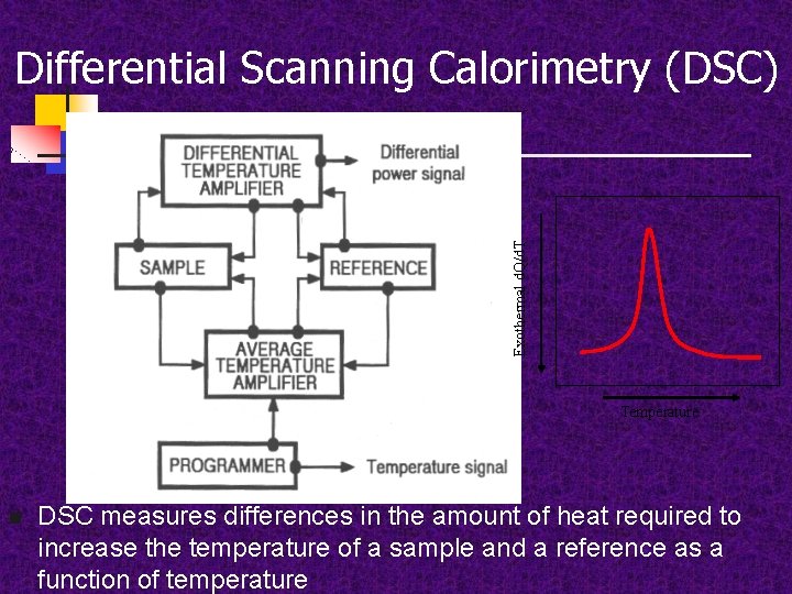 Exothermal d. Q/d. T Differential Scanning Calorimetry (DSC) Temperature n DSC measures differences in