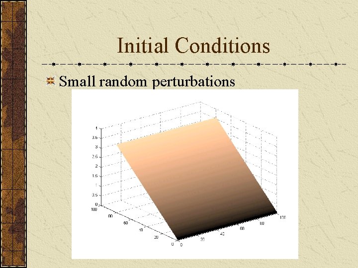 Initial Conditions Small random perturbations 