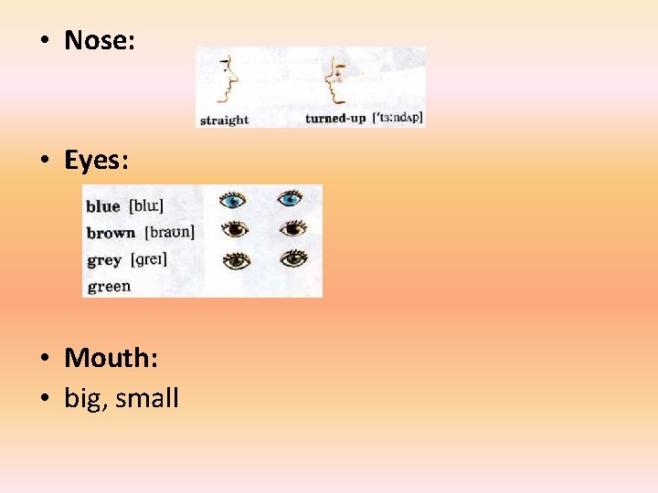  • Nose: • Eyes: • Mouth: • big, small 