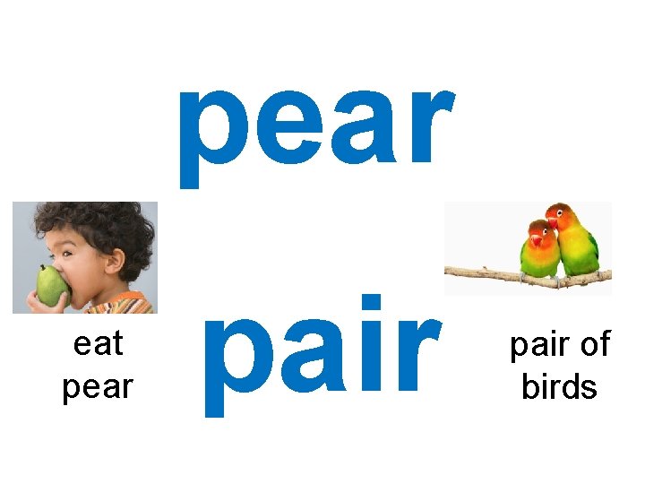 pear eat pear pair of birds 