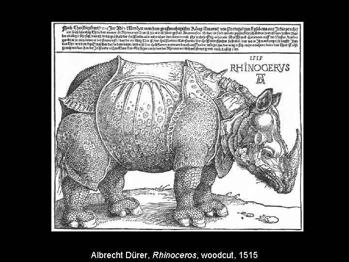 Albrecht Dürer, Rhinoceros, woodcut, 1515 