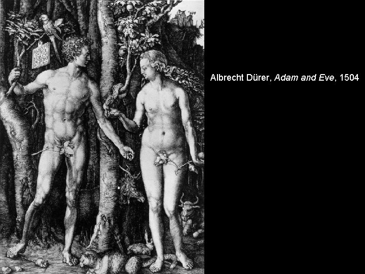 Albrecht Dürer, Adam and Eve, 1504 