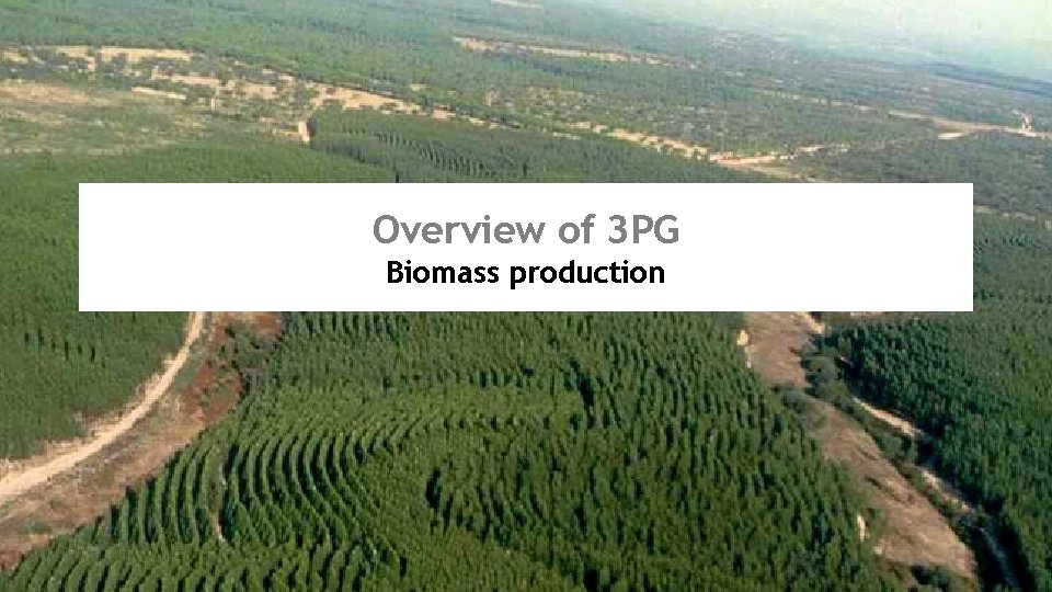 Overview of 3 PG Biomass production 