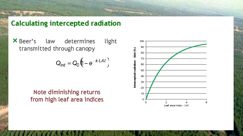 Calculating intercepted radiation Note diminishing returns from high leaf area indices light 100 Intercepted