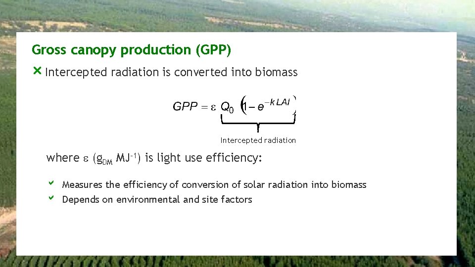 Gross canopy production (GPP) r Intercepted radiation is converted into biomass Intercepted radiation where