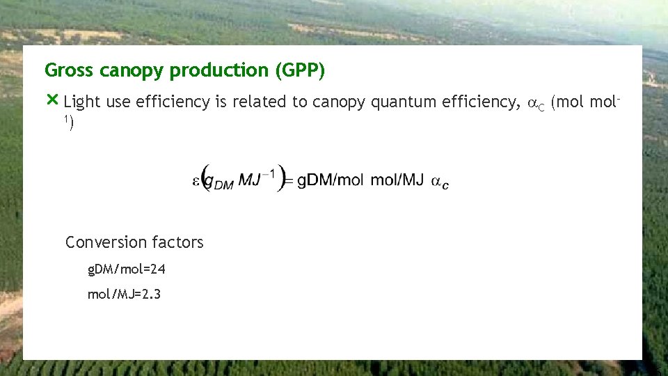 Gross canopy production (GPP) r Light use efficiency is related to canopy quantum efficiency,