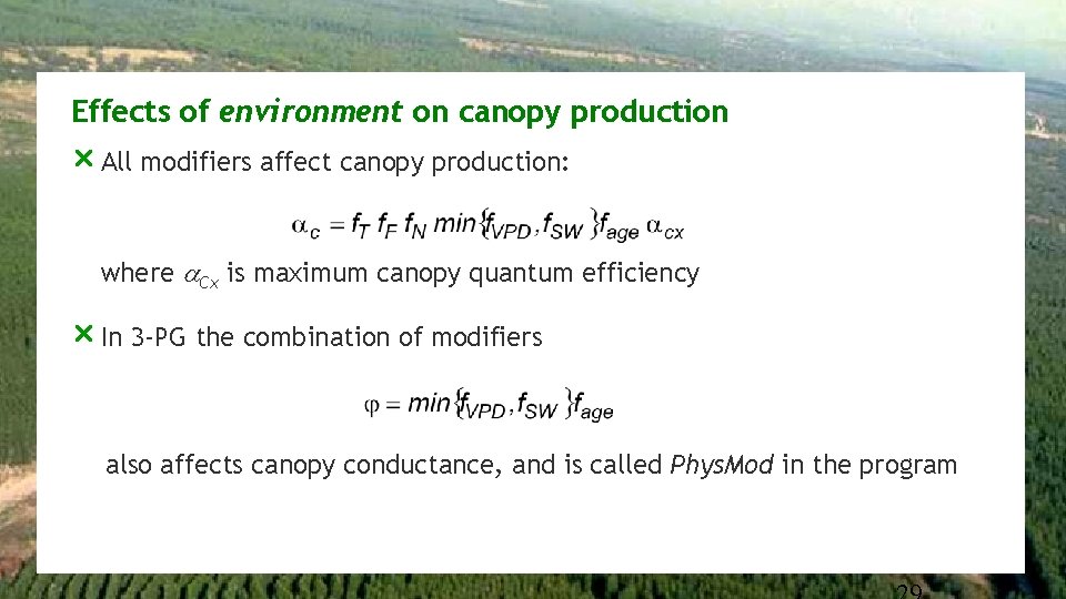 Effects of environment on canopy production r All modifiers affect canopy production: where Cx