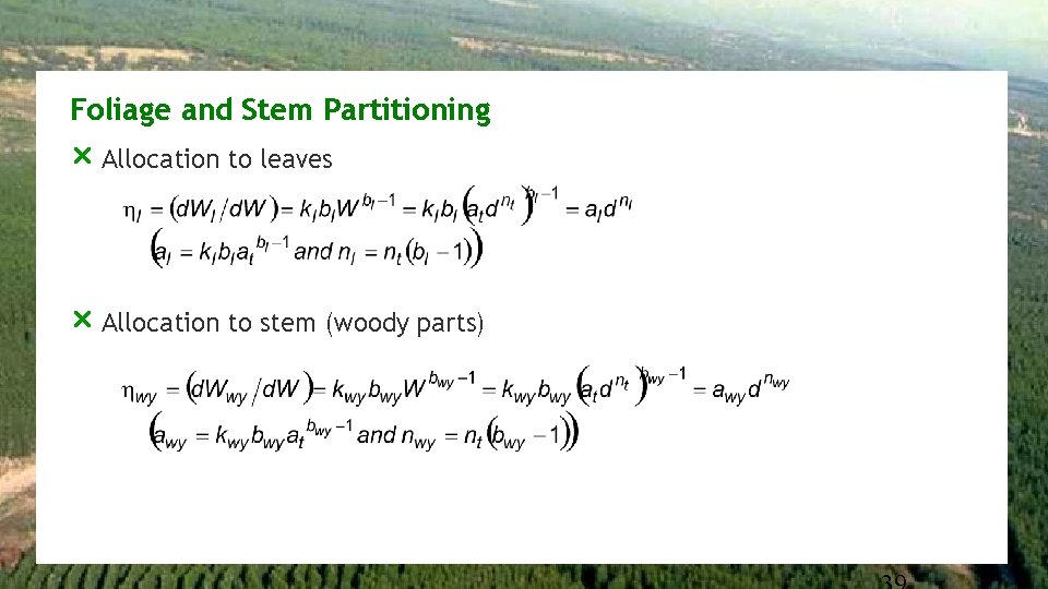 Foliage and Stem Partitioning r Allocation to leaves r Allocation to stem (woody parts)