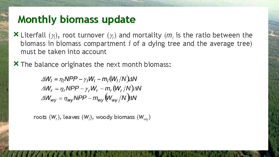 Monthly biomass update r Literfall (gl), root turnover (gr) and mortality (mi is the