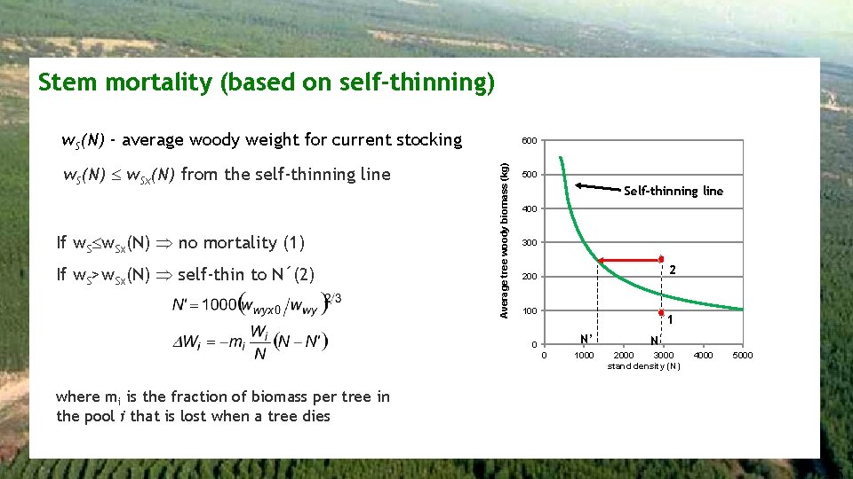 Stem mortality (based on self-thinning) w. S(N) - average woody weight for current stocking