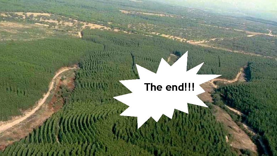 The end!!! 