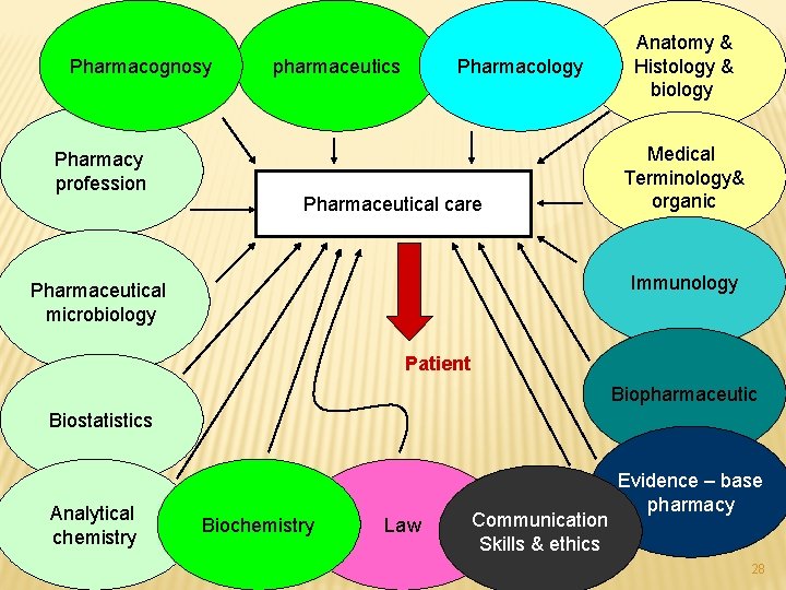 Pharmacognosy Pharmacy profession pharmaceutics Pharmacology Pharmaceutical care Anatomy & Histology & biology Medical Terminology&