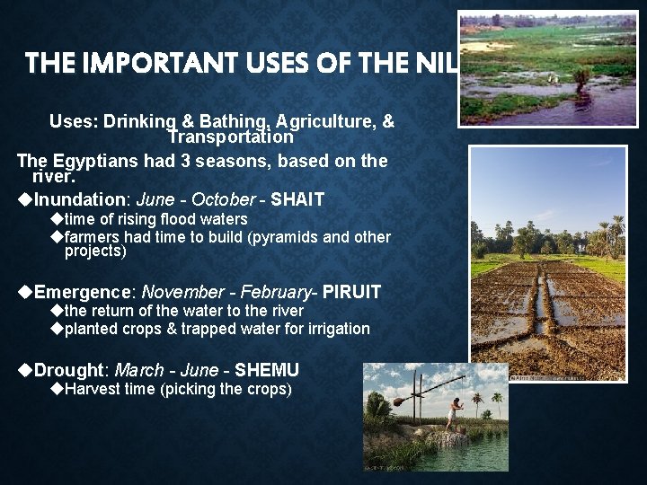 THE IMPORTANT USES OF THE NILE Uses: Drinking & Bathing, Agriculture, & Transportation The