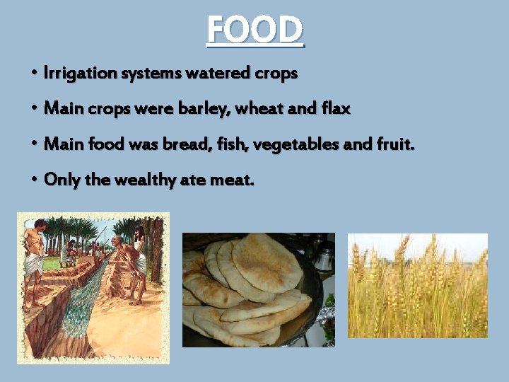 FOOD • Irrigation systems watered crops • Main crops were barley, wheat and flax