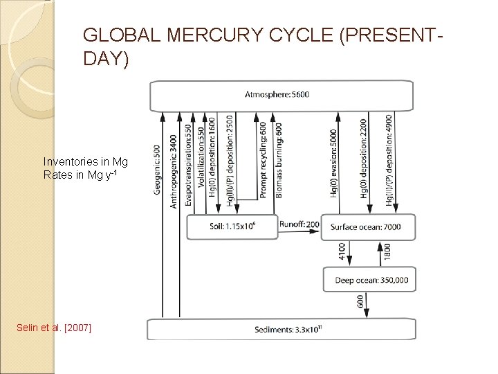 GLOBAL MERCURY CYCLE (PRESENTDAY) Inventories in Mg Rates in Mg y-1 Selin et al.