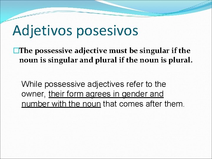 Adjetivos posesivos �The possessive adjective must be singular if the noun is singular and