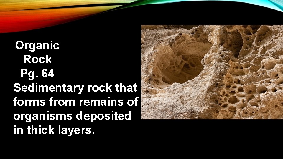 Organic Rock Pg. 64 Sedimentary rock that forms from remains of organisms deposited in
