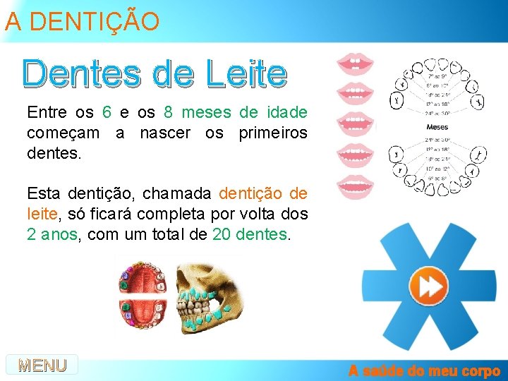 A DENTIÇÃO Dentes de Leite Entre os 6 e os 8 meses de idade