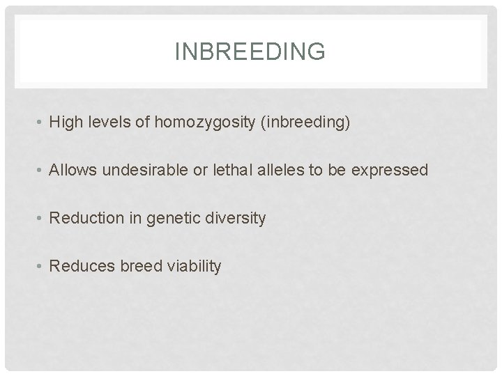 INBREEDING • High levels of homozygosity (inbreeding) • Allows undesirable or lethal alleles to