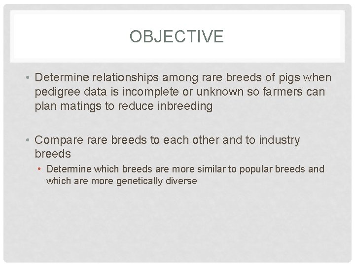 OBJECTIVE • Determine relationships among rare breeds of pigs when pedigree data is incomplete