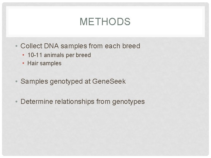 METHODS • Collect DNA samples from each breed • 10 -11 animals per breed