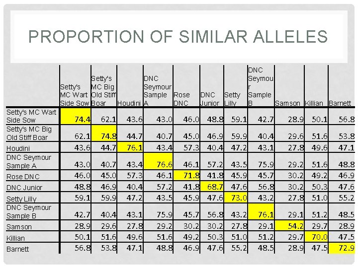 PROPORTION OF SIMILAR ALLELES Setty's MC Big MC Wart Old Stiff Side Sow Boar