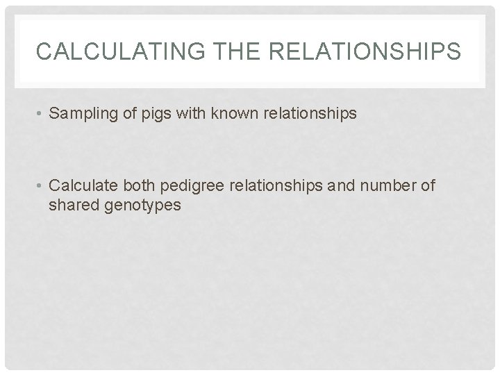 CALCULATING THE RELATIONSHIPS • Sampling of pigs with known relationships • Calculate both pedigree